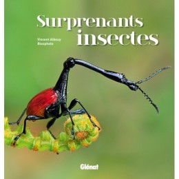 Les éléphants - Paul SHARRATT