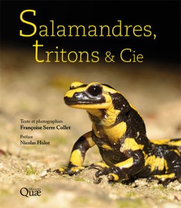 Guide des fruits sauvages - Gérard GUILLOT & Jean-Emmanuel ROCHE