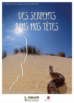 Nos voisins sauvages Vol.4 Renard des champs, renard des villes 