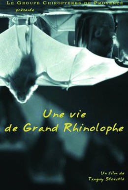 Les marmottes du grand rocher - J-Y. COLLET et Erik LAPIED